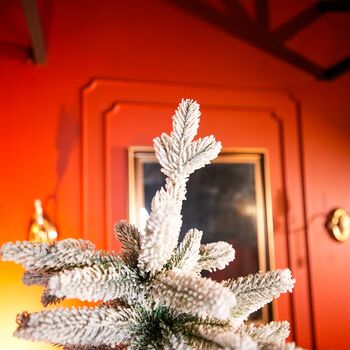 Snow-Covered Christmas Tree With Mixed Silicone Needle PE+PVC 210 CM - დათოვლილი ნაძვის ხე შერეული სილიკონის წიწვებით, 4 image