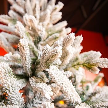 Snow-Covered Christmas Tree With Mixed Silicone Needle PE+PVC 210 CM - დათოვლილი ნაძვის ხე შერეული სილიკონის წიწვებით, 5 image