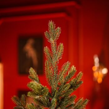 Christmas Tree PE+PVC 210 CM Green - ნაძვის ხე შერეული სილიკონის წიწვებით, 6 image