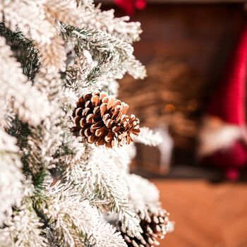 Snow-Covered Christmas Tree With Pine Cones საახალწლო ნაძვის ხე დათოვლილი ტოტებით და გირჩით 210 სმ (OT2083), 6 image