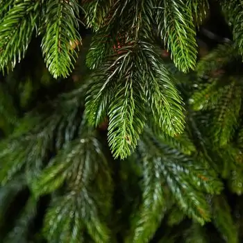 Christmas Tree PE 240 CM Green  - ნაძვის ხე 100% სილიკონი, 5 image