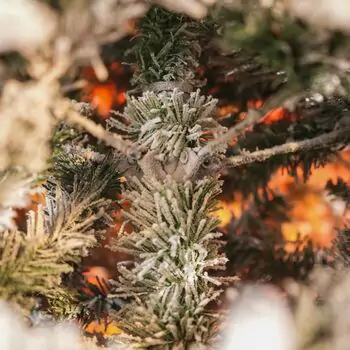 Snow-Covered Christmas Tree With Mixed Silicone Needle And Pine Cones PE+PVC 210 CM - დათოვლილი ნაძვის ხე შერეული სილიკონის წიწვებით და გირჩით, 6 image