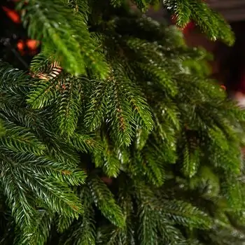 Christmas Tree PE 240 CM Green  - ნაძვის ხე 100% სილიკონი, 4 image
