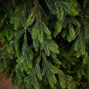 Christmas Tree PE 240 CM Green  - ნაძვის ხე 100% სილიკონი, 8 image