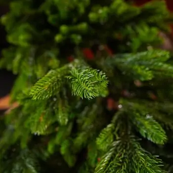 Christmas Tree PE 240 CM Green  - ნაძვის ხე 100% სილიკონი, 11 image