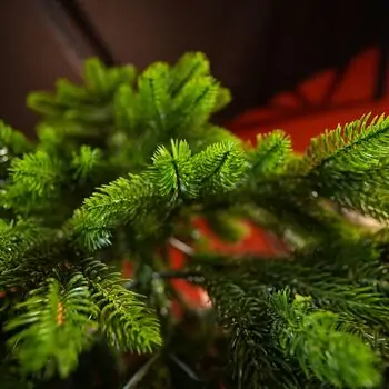 Christmas Tree PE 210 CM Green  - ნაძვის ხე 100% სილიკონი, 4 image