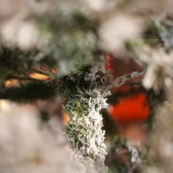 Snow-Covered Christmas Tree PE+PVC 240 CM - დათოვლილი ნაძვის ხე შერეული სილიკონის წიწვებით, 8 image