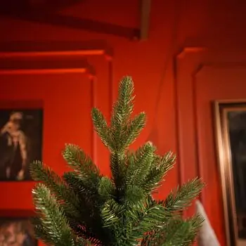 Christmas Tree PE + PVC 210 CM - ნაძვის ხე შერეული სილიკონის წიწვებით, 4 image