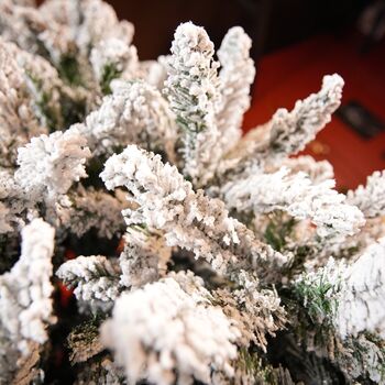 Snow-Covered Christmas Tree  240 CM - დათოვლილი ნაძვის ხე, 7 image