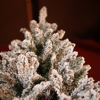Snow-Covered Christmas Tree  240 CM - დათოვლილი ნაძვის ხე, 10 image