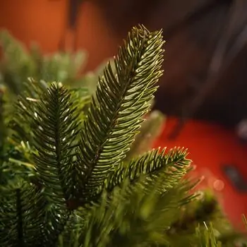 Christmas Tree PE + PVC 210 CM - ნაძვის ხე შერეული სილიკონის წიწვებით, 9 image