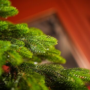 Christmas Tree PE 180 CM Green  - ნაძვის ხე 100% სილიკონი, 5 image