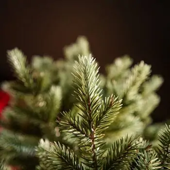 Scandinavian Christmas Tree PE 210 CM  With Blue Tips  საახალწლო ნაძვის ხე 100% სილიკონი, 4 image