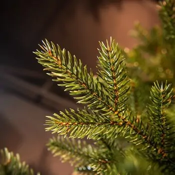 Christmas Tree Grace 100% Silicone Needle PE 210 CM - ნაძვის ხე 100% სილიკონის წიწვებით, 8 image