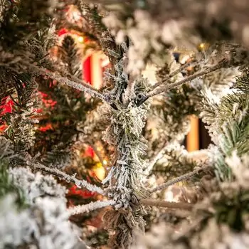 Snow-Covered Christmas Tree With Lights საახალწლო ნაძვის ხე დათოვლილი ტოტებით და განათებით 240 სმ, 15 image