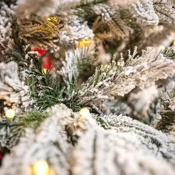 Snow-Covered Christmas Tree With Lights საახალწლო ნაძვის ხე დათოვლილი ტოტებით და განათებით 240 სმ, 5 image