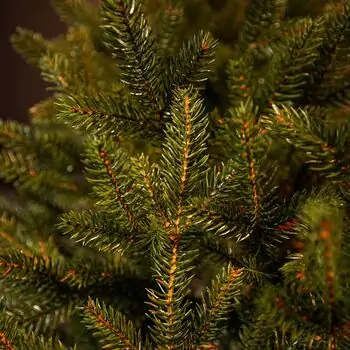 Christmas Tree Grace 100% Silicone Needle PE 250 CM - ნაძვის ხე 100% სილიკონის წიწვებით, 9 image
