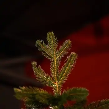 Christmas Tree 100 % Silicone Needle 210 CM - ნაძვის ხე 100% სილიკონი, 4 image