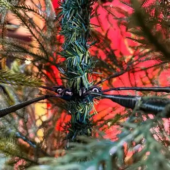 Christmas Tree PE With Pine Cones 180 CM - ნაძვის ხე 100% სილიკონი, გირჩით, 9 image