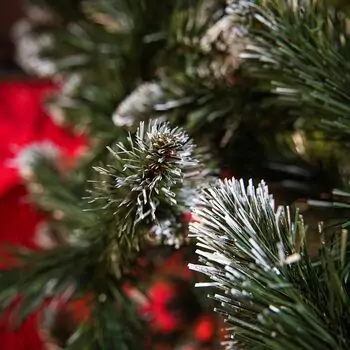 Lidiya Green Christmas Tree With White Tips PVC 250CM - ნაძვის ხე თეთრი ბოლოებით, 10 image