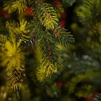 Holandiia Christmas Tree With Olive Tips PE 210 CM საახალწლო ნაძვის ხე, 100% სილიკონი, 13 image