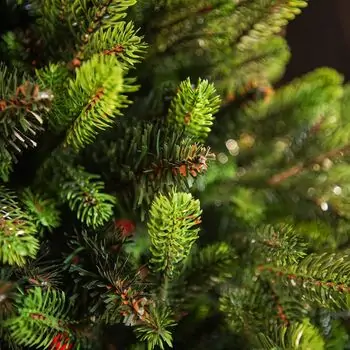 Carpathian Christmas Tree 210CM PVC + PE  Light Green Tips  ნაძვის ხე შერეული სილიკონის წიწვებით, 4 image
