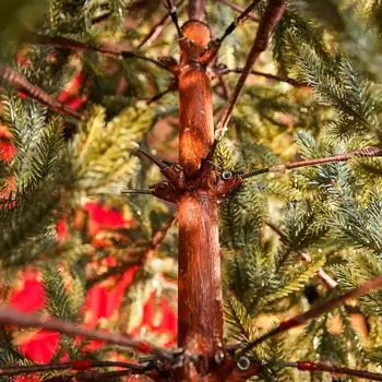 Christmas Tree საახალწლო ნაძვის ხე სილიკონის წიწვებით 240 CM (OT2329), 12 image