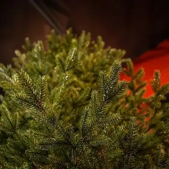 Christmas Tree Edelweiss Luxe With 100% Silicone Needle 260 CM - ნაძვის ხე 100% სილიკონის წიწვებით, 13 image