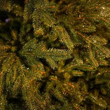 Christmas Tree Grand Wide 100 % Silicone Needle 260 CM - ნაძვის ხე 100% სილიკონი, 9 image