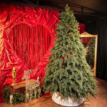 Kovalivian Christmas Tree Green With 100% Silicone PE 250 CM - ნაძვის ხე 100% სილიკონი