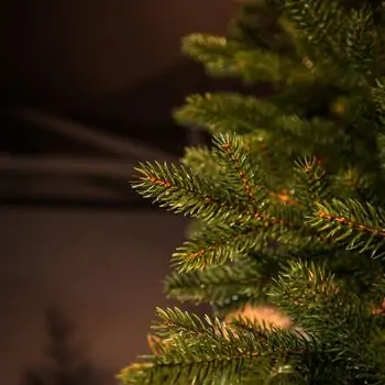 Christmas Tree Grace 100% Silicone Needle PE 210 CM - ნაძვის ხე 100% სილიკონის წიწვებით, 4 image
