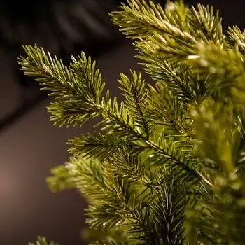 Alpine Star Christmas Tree Green 240 CM PE  საახალწლო ნაძვის ხე, 100% სილიკონი, 11 image