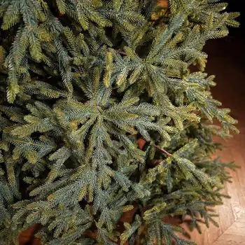 Christmas Tree საახალწლო ნაძვის ხე სილიკონის წიწვებით 240 CM (OT2329), 9 image