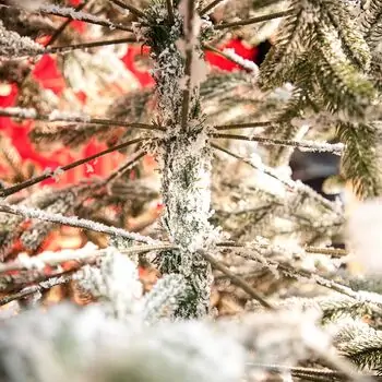 Viennese Snow-Covered Christmas Tree PE 250 CM  დათოვლილი ნაძვის ხე 100% სილიკონი, 14 image