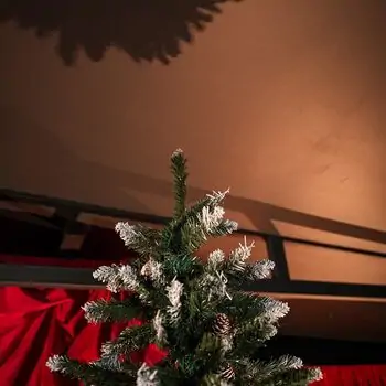 Christmas Tree With Pine Cones საახალწლო ნაძვის ხე გირჩებით 270 სმ, 3 image