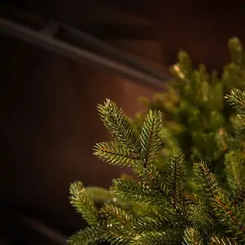 Christmas Tree Edelweiss Luxe With 100% Silicone Needle 260 CM - ნაძვის ხე 100% სილიკონის წიწვებით, 6 image