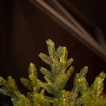 Christmas Tree 100 % Silicone Needle 220 CM - ნაძვის ხე 100% სილიკონი, 8 image