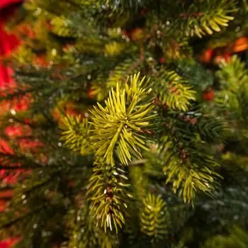 Holandiia Christmas Tree With Olive Tips PE 210 CM საახალწლო ნაძვის ხე, 100% სილიკონი, 14 image