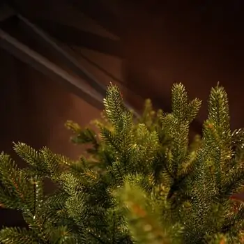 Christmas Tree Edelweiss Luxe With 100% Silicone Needle 260 CM - ნაძვის ხე 100% სილიკონის წიწვებით, 7 image