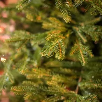 Christmas Tree 100 % Silicone Needle 220 CM - ნაძვის ხე 100% სილიკონი, 9 image