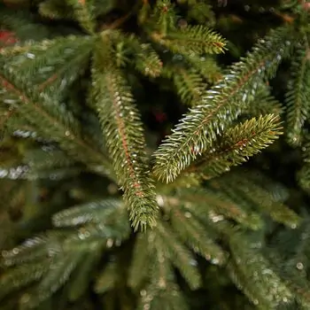 Alpine Christmas Tree PE 210 CM Green - საახალწლო ნაძვის ხე, 100 % სილიკონი, 4 image