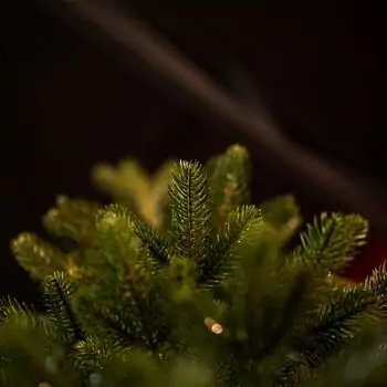 Christmas Tree 100 % Silicone Needle 210 CM - ნაძვის ხე 100% სილიკონი, 6 image