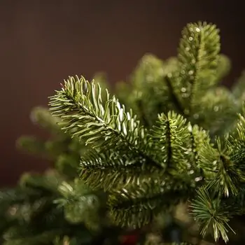 Kovalivian Christmas Tree Green With 100% Silicone PE 250 CM - ნაძვის ხე 100% სილიკონი, 5 image