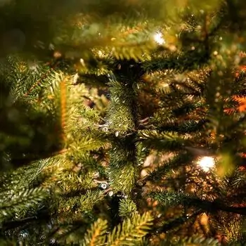 Christmas Tree Grace 100% Silicone Needle PE 250 CM - ნაძვის ხე 100% სილიკონის წიწვებით, 14 image
