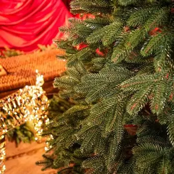 Belgian Christmas Tree Green With 100% Silicone PE 210 CM - ნაძვის ხე 100% სილიკონი, 11 image