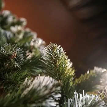 Lidiya Green Christmas Tree With White Tips PVC 250CM - ნაძვის ხე თეთრი ბოლოებით, 12 image