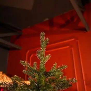 Christmas Tree Grace 100% Silicone Needle PE 210 CM - ნაძვის ხე 100% სილიკონის წიწვებით, 3 image
