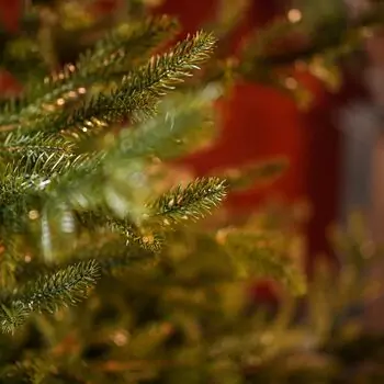 Christmas Tree 100 % Silicone Needle 220 CM - ნაძვის ხე 100% სილიკონი, 10 image
