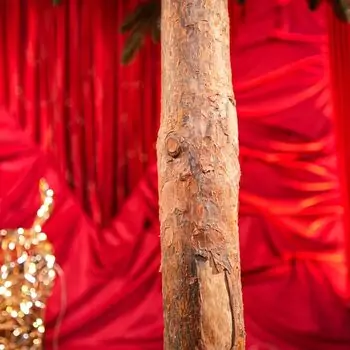 Premium Christmas Tree PE 220 CM ნაძვის ხე 100% სილიკონი, 9 image