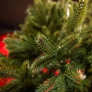 Belgian Christmas Tree Green With 100% Silicone PE 210 CM - ნაძვის ხე 100% სილიკონი, 10 image